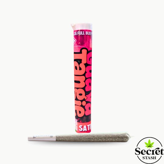 Secret Stash - Secret Stash | Full Bud Pre Roll | Guava Tangie | 1.2g - 1