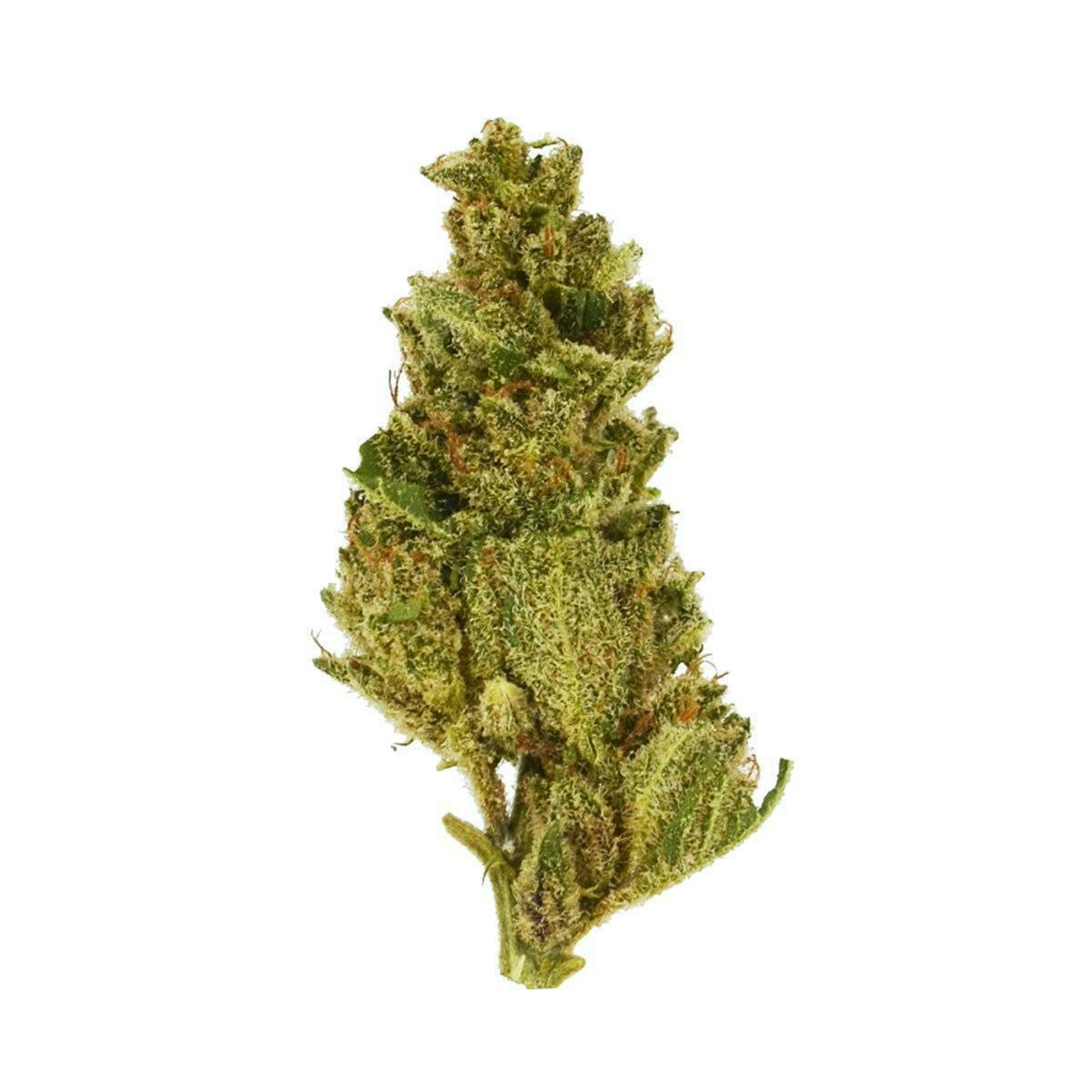 Smoakland - Smoakland Xclusivez | Froot Loops (H) | Big Buds | 28g - 1