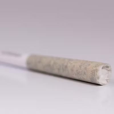 Great Northern Cannabis - Great Northern Cannabis 0.5g Super Lemon Haze Preroll (Sativa) - 1