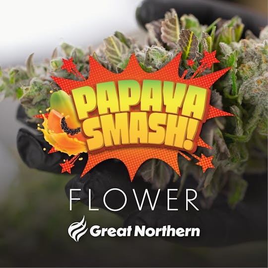 Great Northern Cannabis - Great Northern Cannabis Papaya Smash (Hybrid) - 1