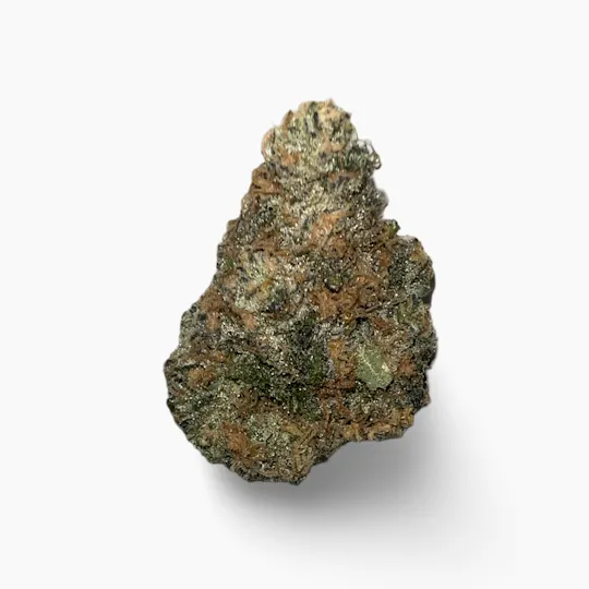 Indico - Black Scotch - Indico - 1