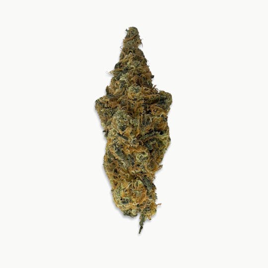 Indico - Pink - Pinehurst - 1