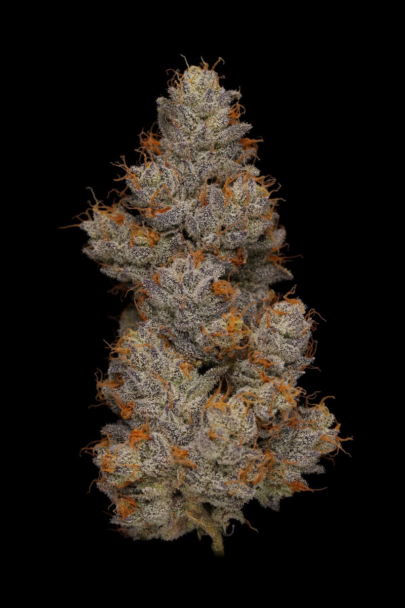 PHASES - Phases | Reverie | Gorilla Cookies | Big Buds | 3.5g - 1