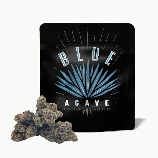 Cookies Michigan - Blue Agave - 1