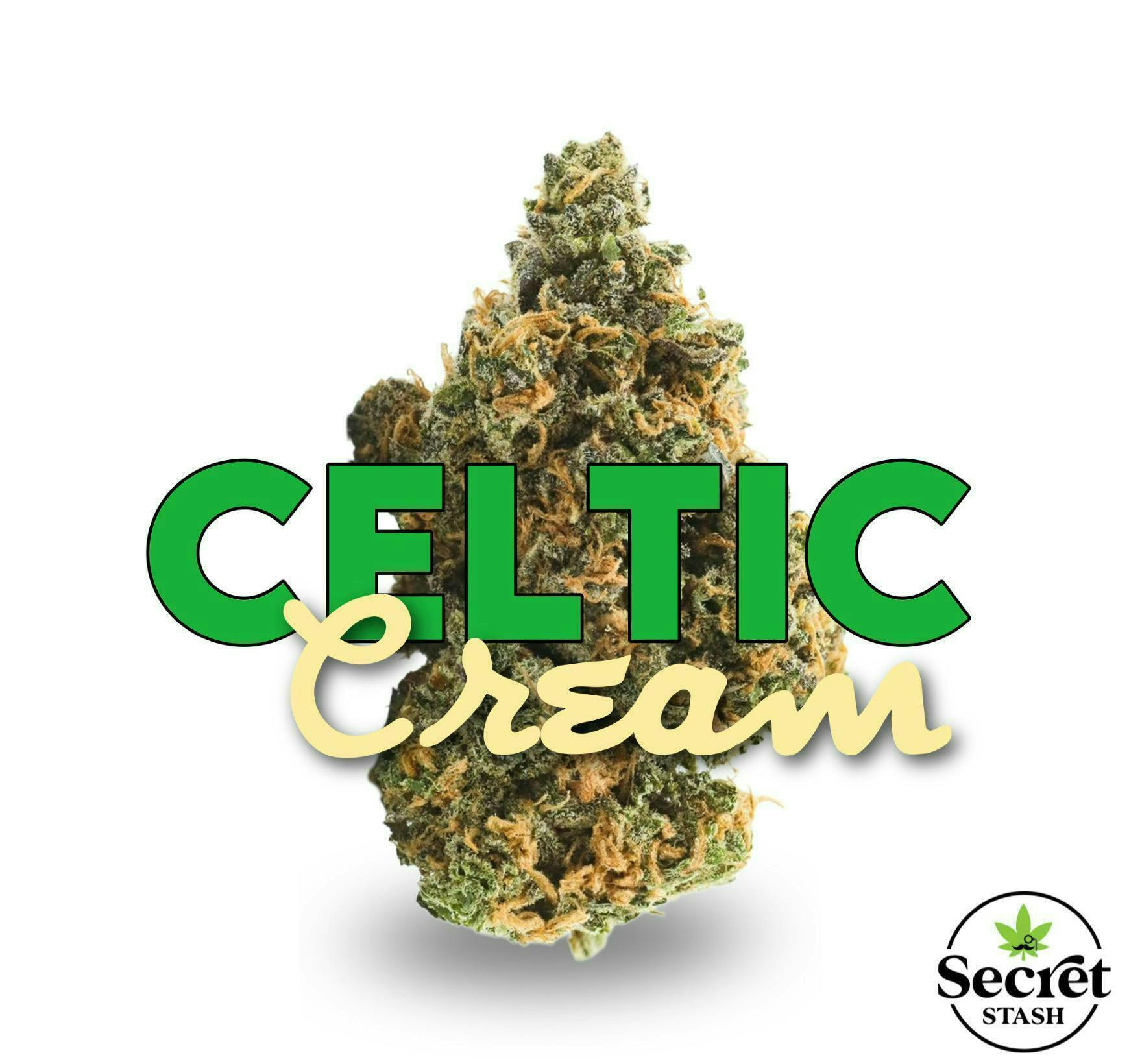 Secret Stash - Secret Stash | Flower | Celtic Cream | G - 1