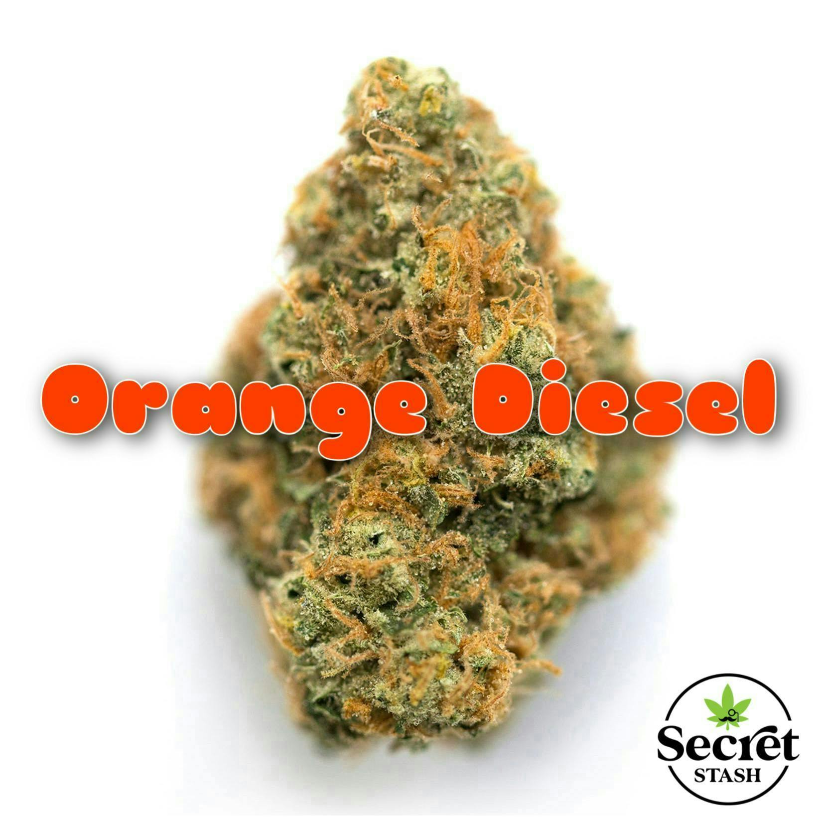 Secret Stash - Secret Stash | Flower | Orange Diesel | G - 1