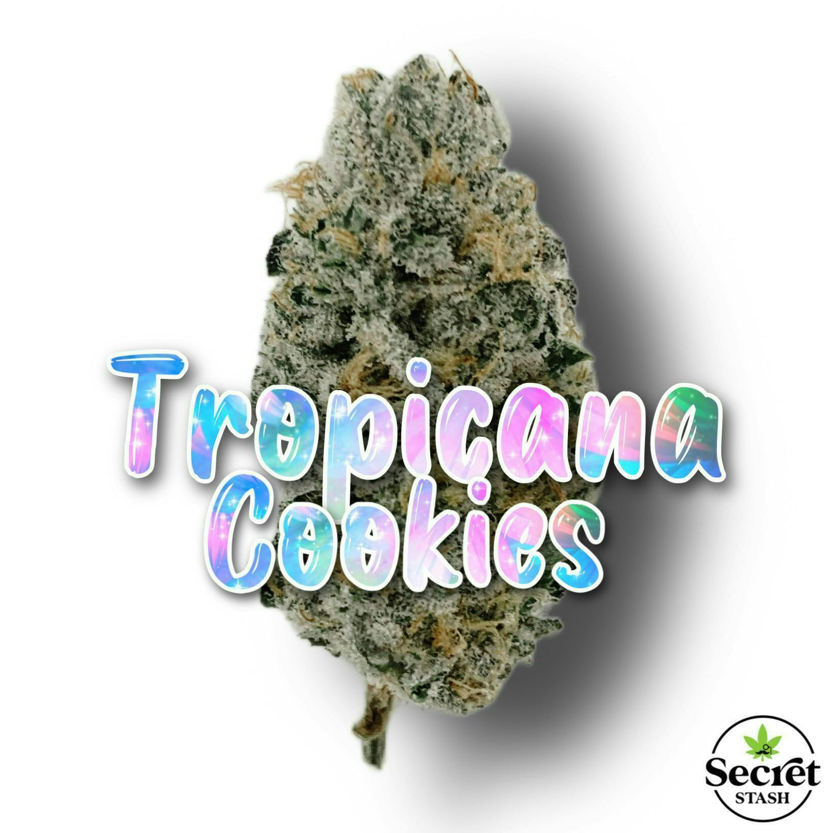 Secret Stash - Secret Stash | Flower | Tropicana Cookies | G - 1