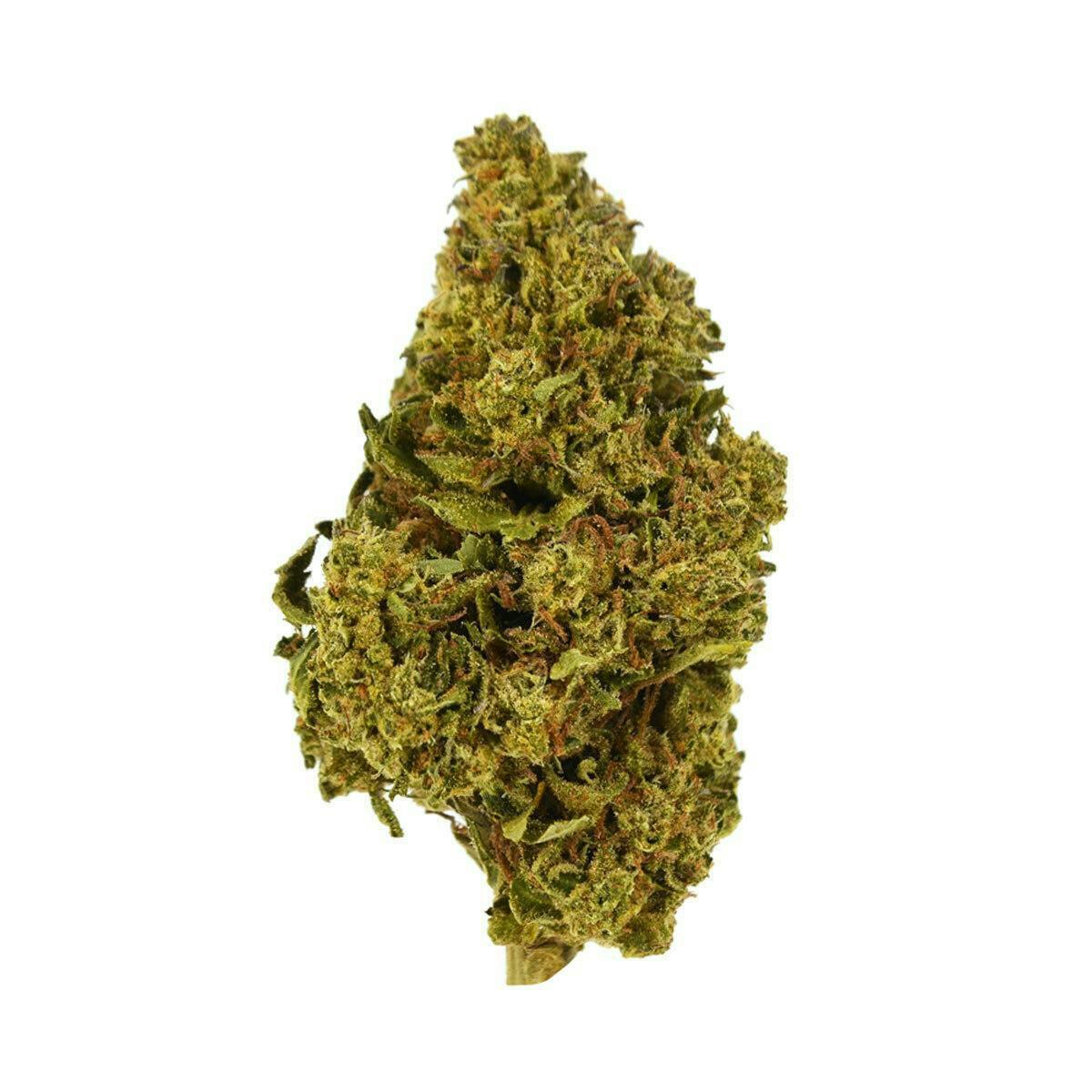 Smoakland - Smoakland Exotix | Mendo Crumble | Big Buds | 14g - 1