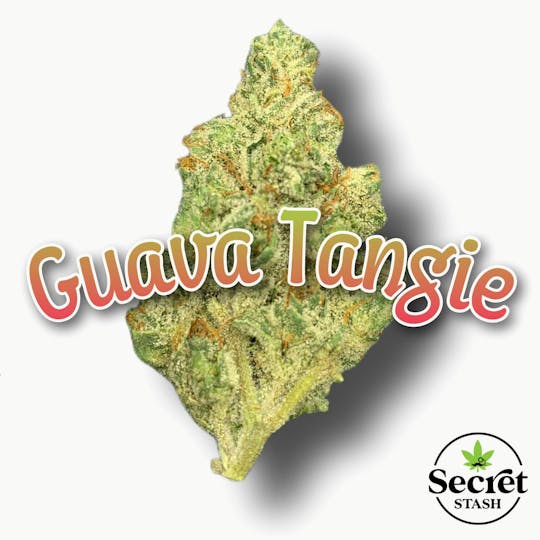 Secret Stash - Secret Stash | Flower | Guava Tangie | G - 1