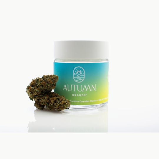 Autumn Brands - Lemon Tree - 3.5g Flower - 1