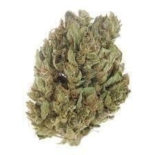 Cannafeen - Cannafeen | Vanilla Frosting | Big Buds - 1