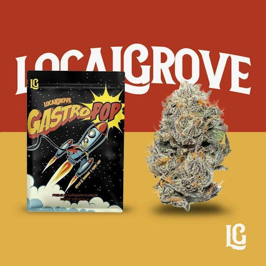 Localgrove - Local Grove Prepackaged Flower | Gastro Pop | 3.5G - 1
