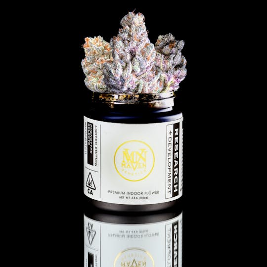 Maven Genetics - Blueberry Mac x Super Silver Haze - 1