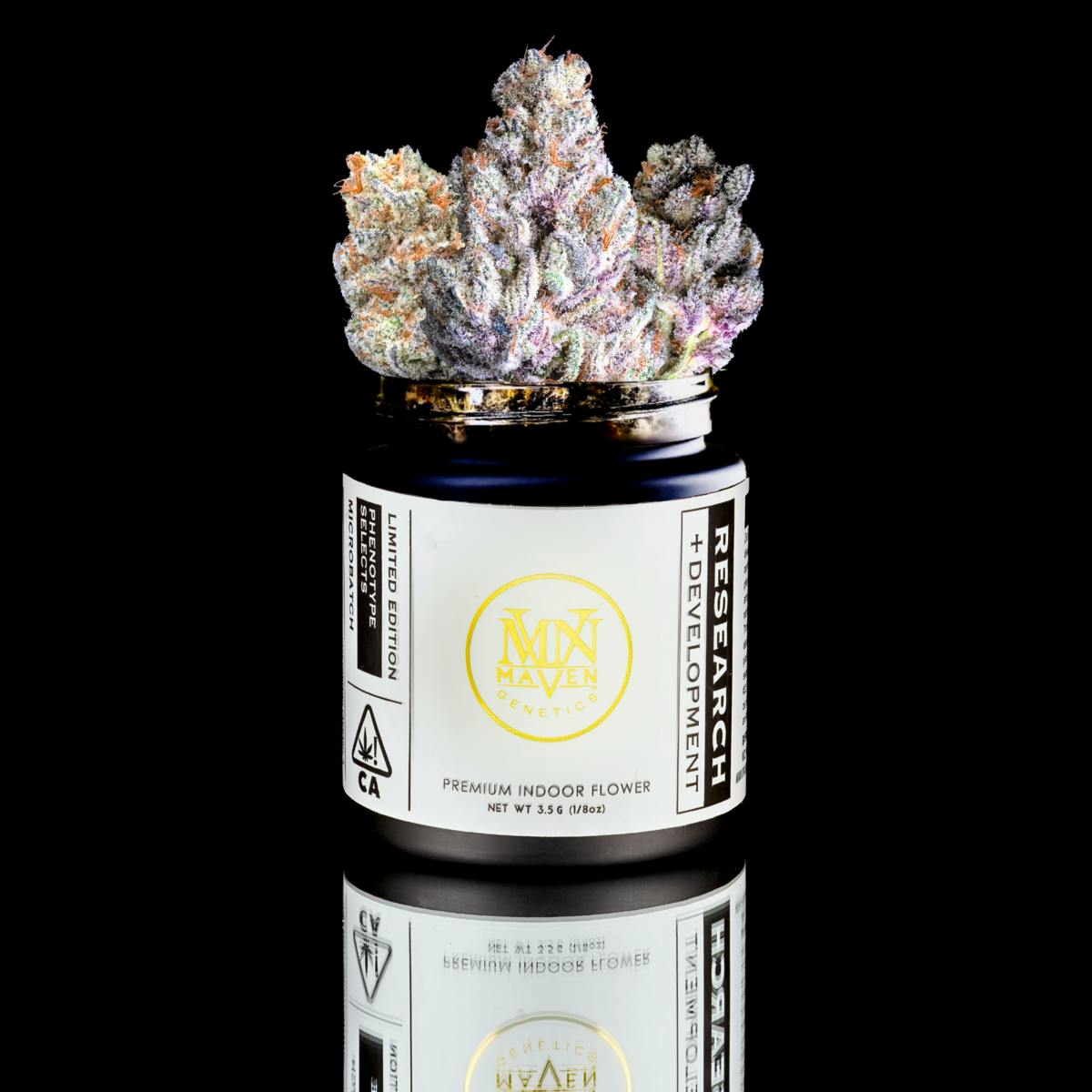 Blueberry Mac x Super Silver Haze - Maven Genetics