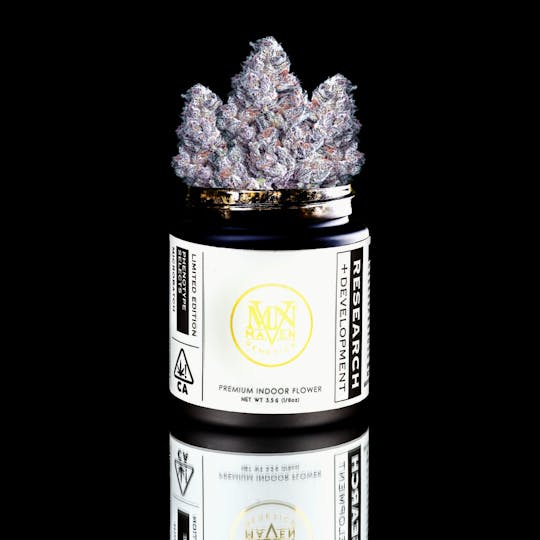 Maven Genetics - Lemon Cherry Gelato x Blueberry ZKZ - 1