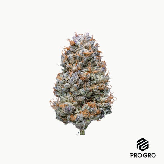 Pro Gro - Prime Time Pre-Roll | 1g - 1