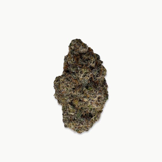 Indico - Vanilla Cream Pie - New Horizons - 1