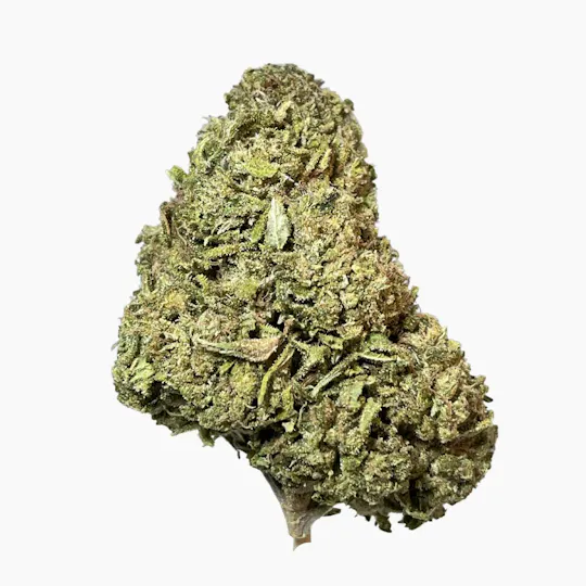 Smoakland - Smoakland Black | Mamba 24 (H) | Big Buds | 3.5g - 1