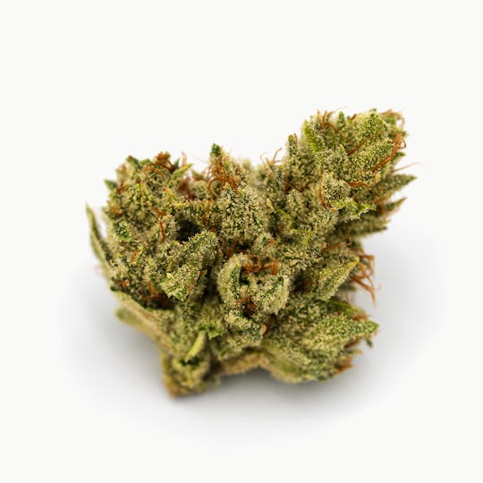 Abundant Organics - Angelica Pre Pack Flower - 14g - 1