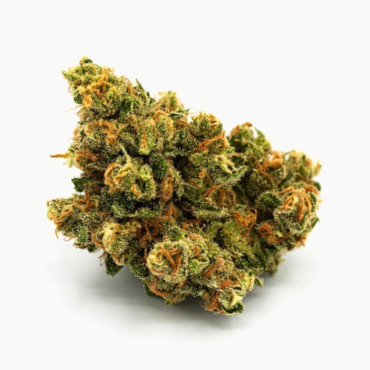 Abundant Organics - Jack Herer Pre Pack Flower - 14g - 1