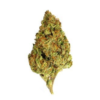 Smoakland - Smoakland Black | GovernMint Oasis | Big Buds | 14g - 1