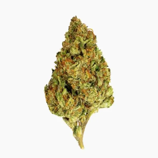 Smoakland - Smoakland Black | GovernMint Oasis | Big Buds | 14g - 1