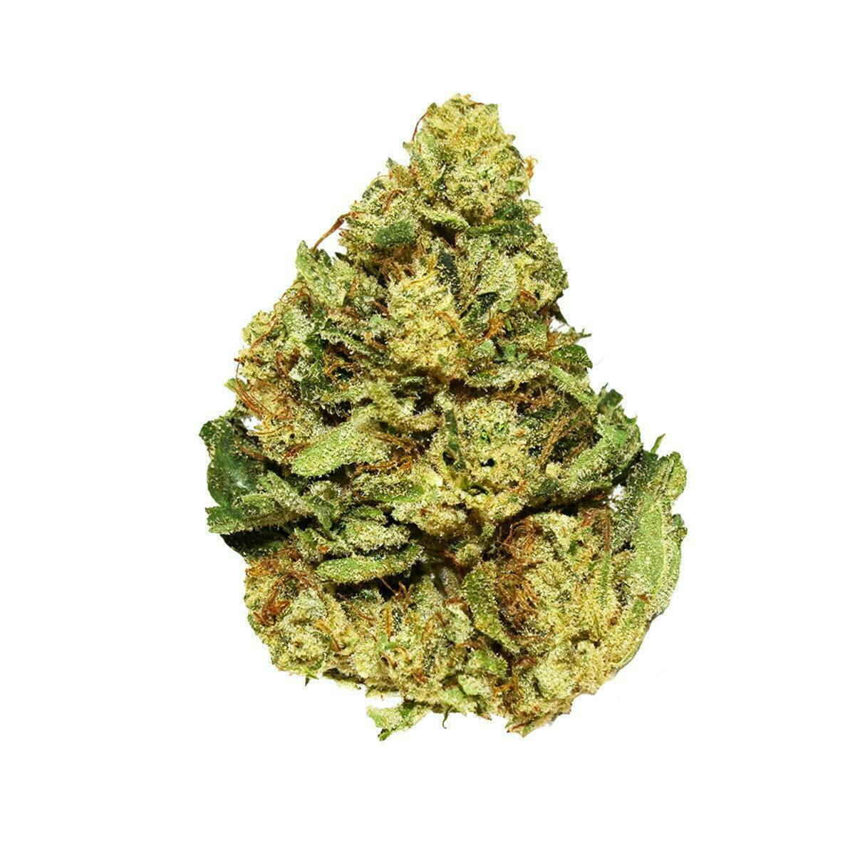 Smoakland - Smoakland | Ron Burgundy | Big Buds | 3.5g - 1