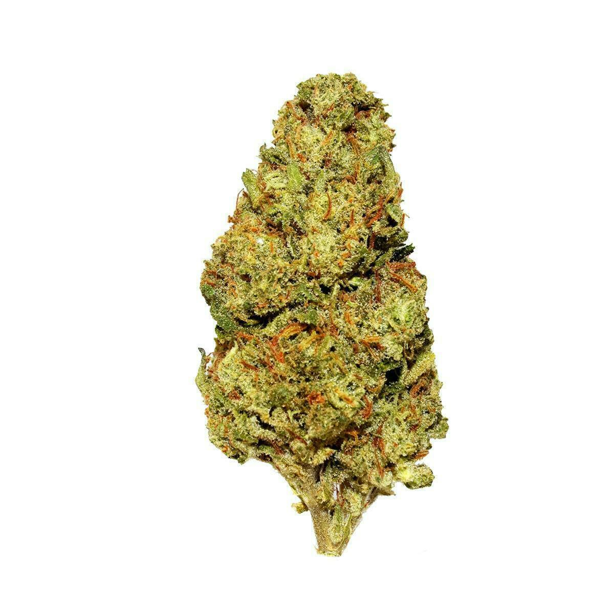 Smoakland - Smoakland Exotix | Gush Mintz | Big Buds | 14g - 1