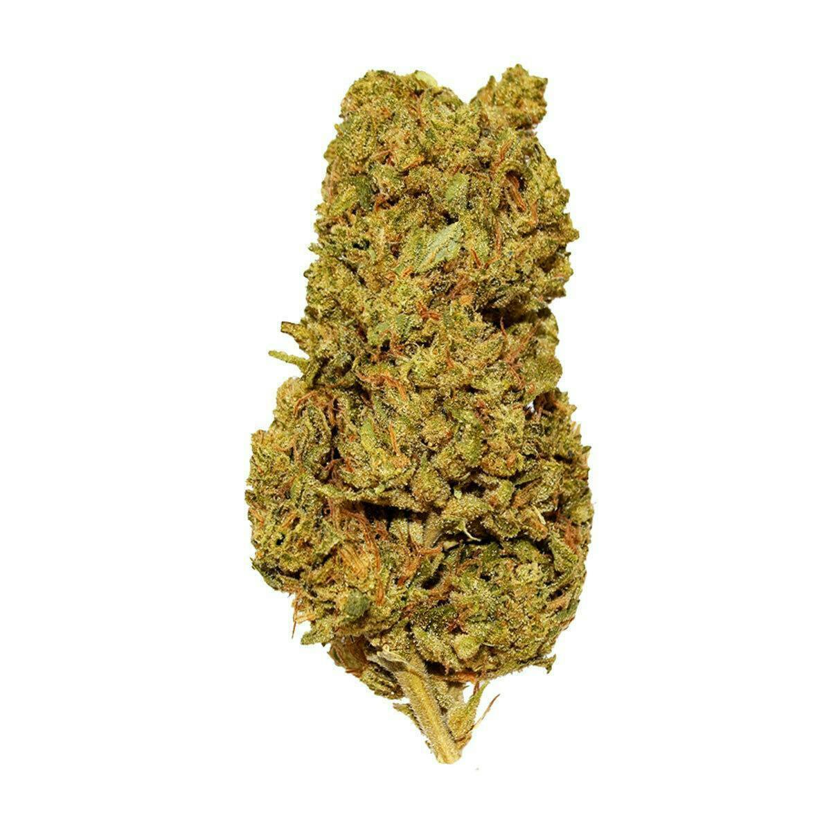 Smoakland - Smoakland Black | Galactic Cookies | Big Buds | 14g - 1