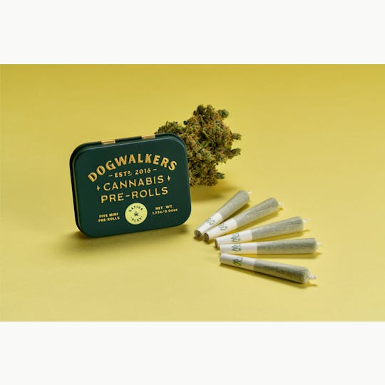 Dogwalkers - Dogwalkers Play .35g Mini Dog Pre Rolls (12pk) | Sour Joker - 1