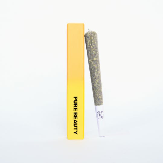Pure Beauty - Sativa | Infused Solventless 1g Pre-Roll | Indoor Cannabis Flower - 1