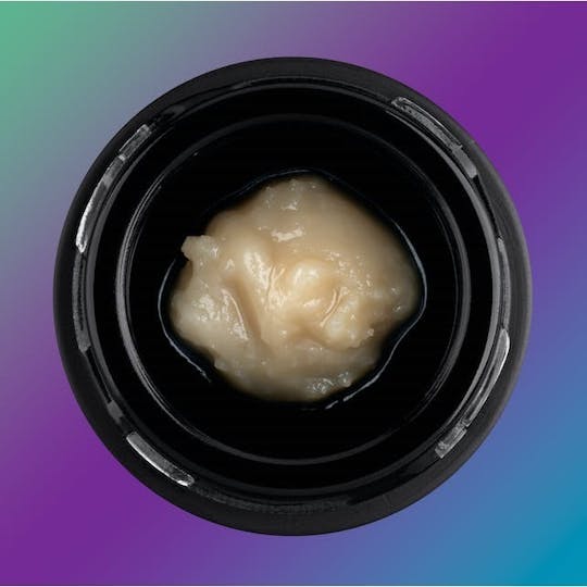 Third Shift Resin - Honey Bunny #6 - Full Spec - 1