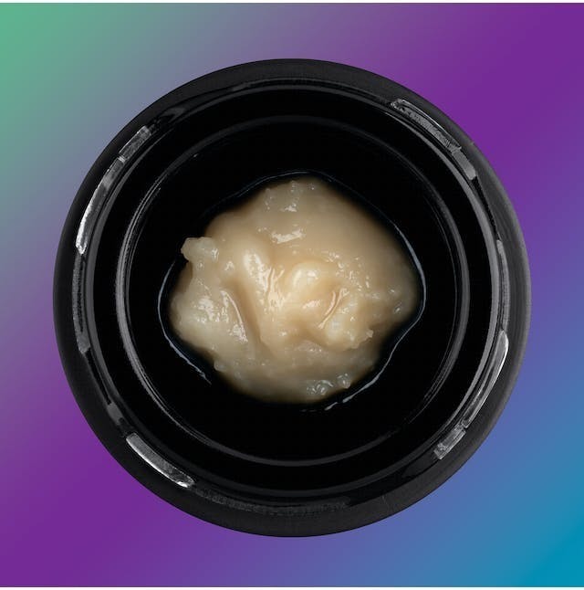 Third Shift Resin - Honey Bunny #10 - Full Spec - 1