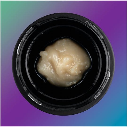 Third Shift Resin - Honey Bunny #10 - Full Spec - 1