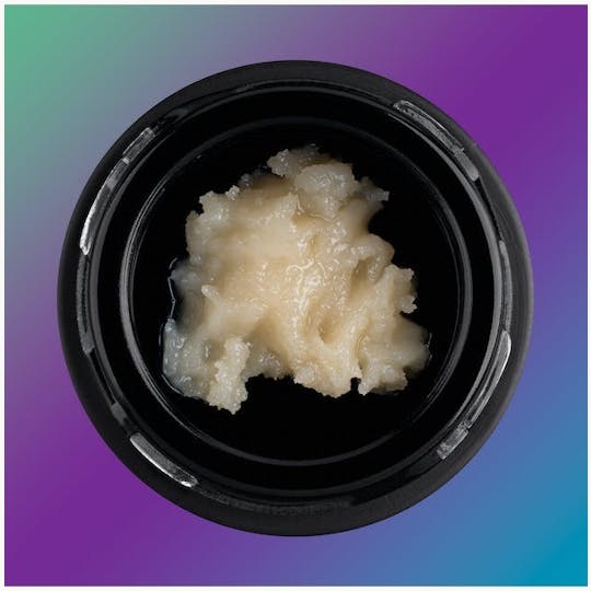 Third Shift Resin - Fuzz Pedal #10 - Full Spec - 1