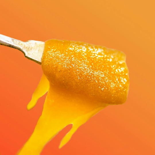 Trendi - Bubble Gum Runtz Live Resin Badder | 0.5g - 1