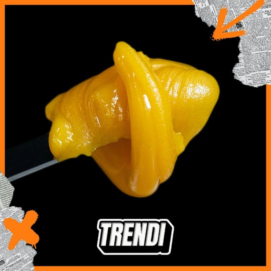 Trendi - Dr. Gonzo Live Resin Badder | 0.5g - 1