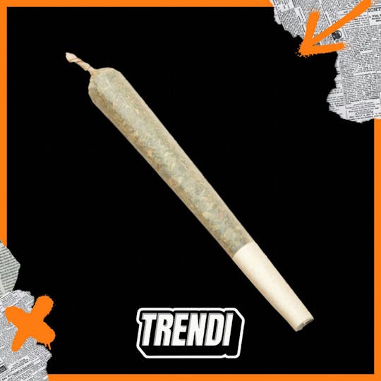 Trendi - GG4 Preroll | 1g - 1