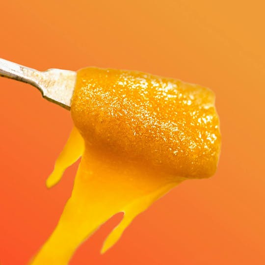 Trendi - GMO Sherb Crasher Live Resin Badder | 0.5g - 1