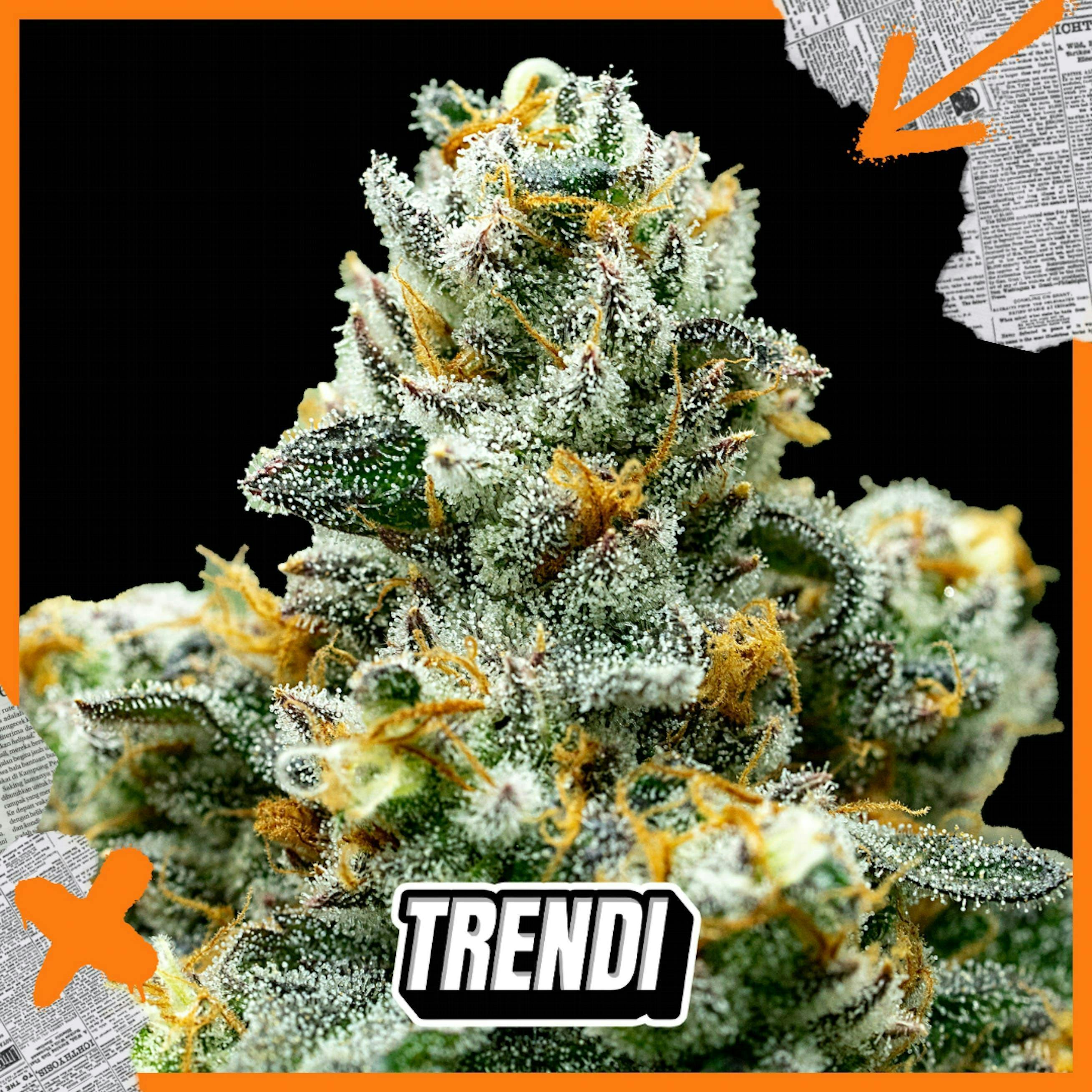 Trendi - IF Flavor Crystals Prepack | 3.5g - 1