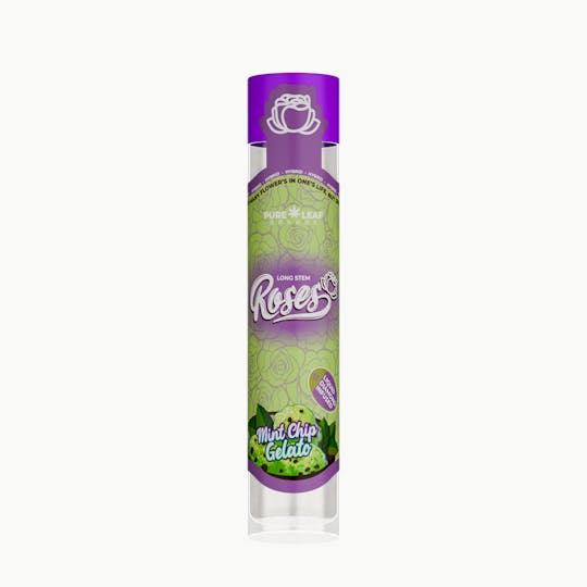 Roses - MINT CHIP GELATO Roses Long Stem Hybrid 1G | Liquid Diamond Infused - 1