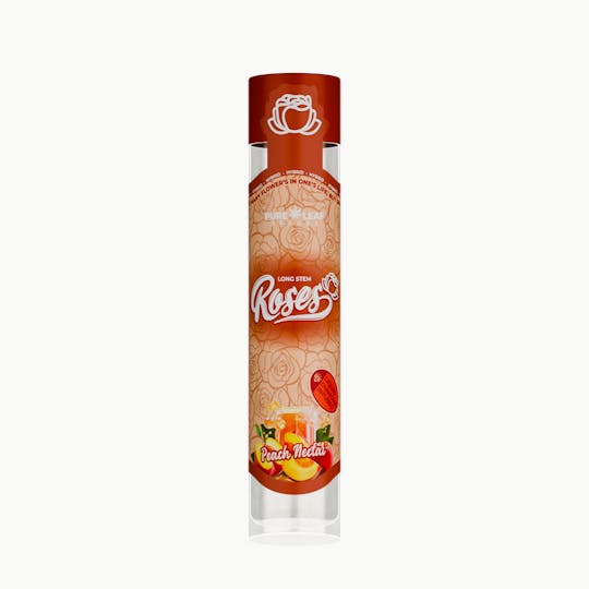 Roses - PEACH NECTAR Roses Long Stem Hybrid 1G | Liquid Diamond Infused - 1