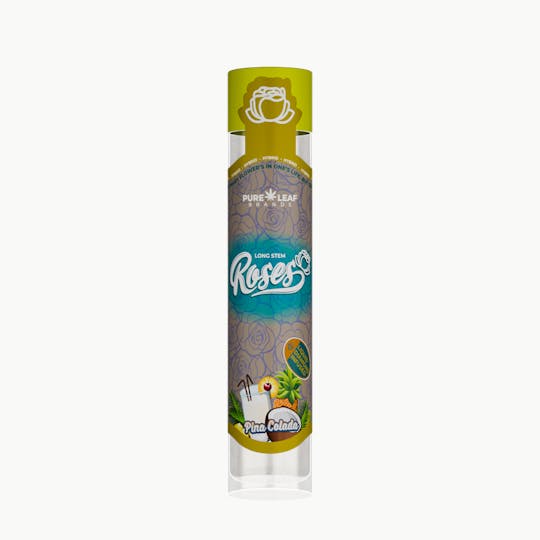 Roses - PINA COLODA Roses Long Stem Hybrid 1G | Liquid Diamond Infused - 1