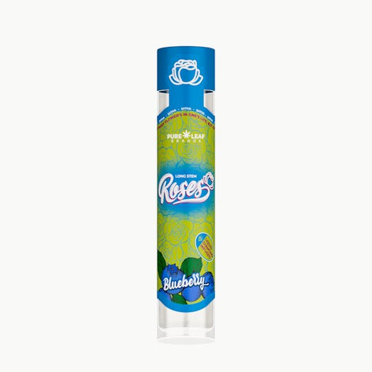 Roses - BLUEBERRY Roses Long Stem Hybrid 1G | Liquid Diamond Infused - 1