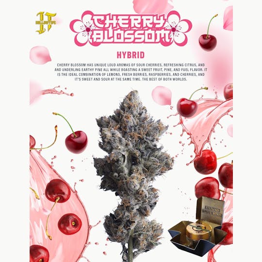 Hollowtips - Cherry Blossom 3.5g - 1