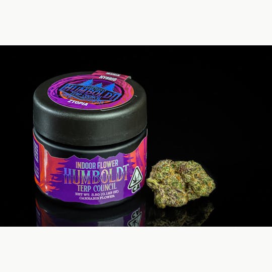 Humboldt Terp Council - Humboldt Terp Council | Ztopia 3.5g - 1