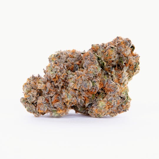 Pure Beauty - Honey Moon | 3.5g Indoor - 1