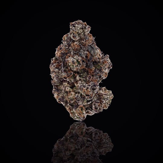 Noble Trees - Gucci Cane (Indica) - Premium Indoor Flower - 3.5g - 1
