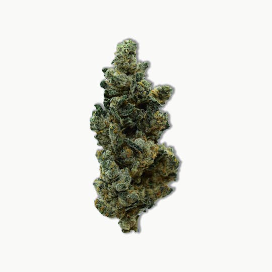 Common Citizen - Common Citizen Purple Punch Cake Prepackaged 7g - 1