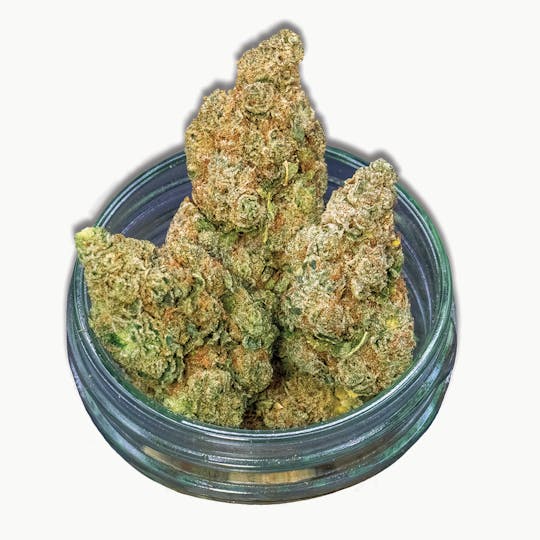 Common Citizen - Common Citizen Sour Plums Prepackaged 3.5g - 1